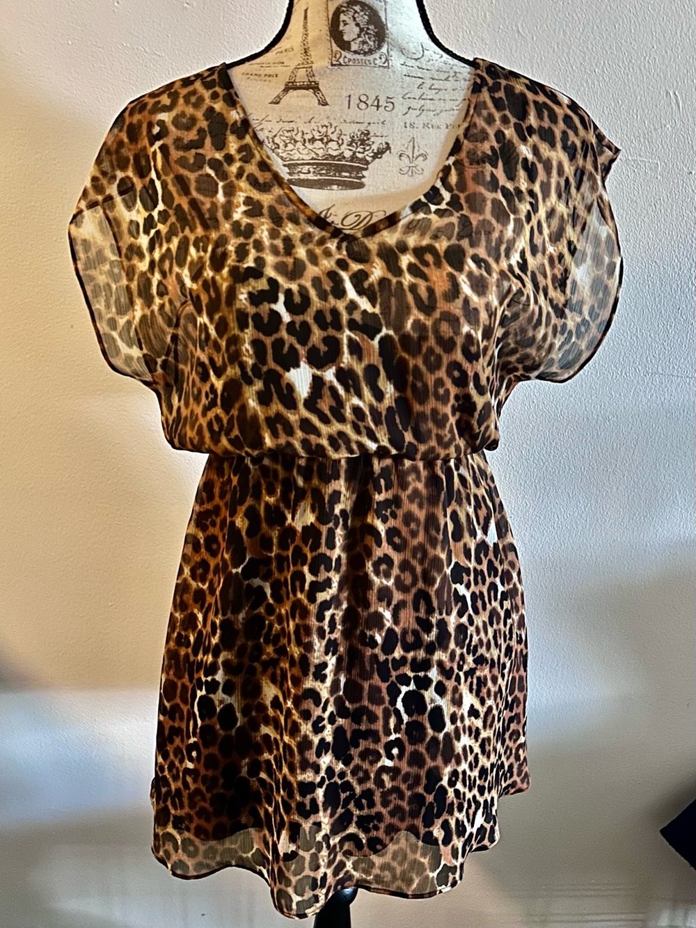 Express Leopard Print V-Neck Short Sheer Dress with slip - Brown/Black/Cream